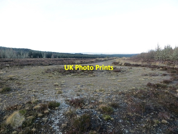 Photo 6"x4" End of the track Back Burn\/NS7136 c2013