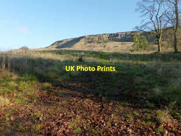 Photo 6"x4" Path near Overtoun House Dumbarton c2013