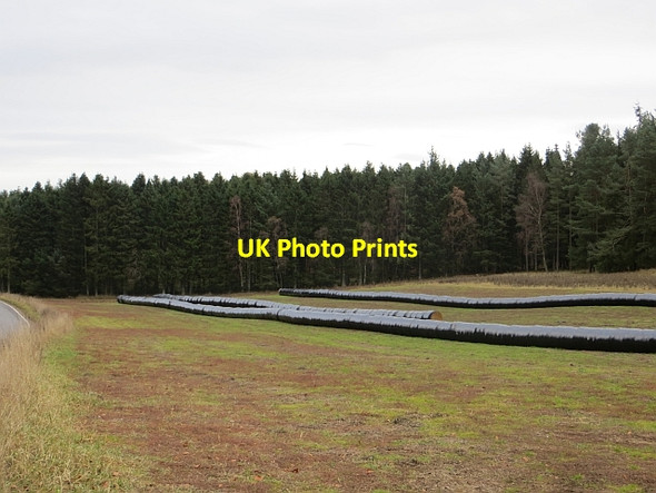 Photo 6"x4" Bale snakes Meikleour c2013