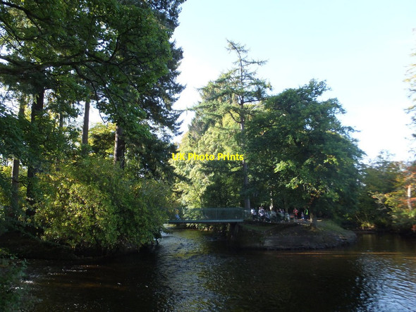 Photo 6"x4" Ness Islands Inverness c2013