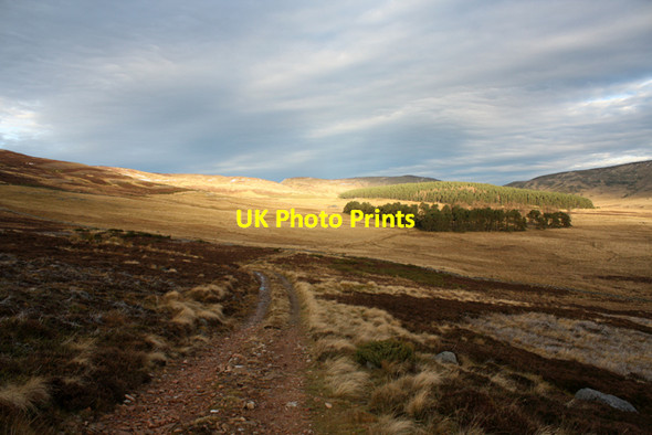 Photo 6"x4" Track to Morven Lodge Morven Lodge c2013