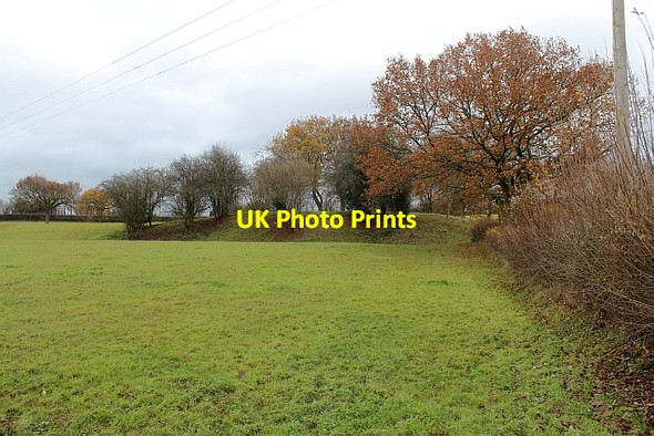 Photo 6"x4" Norman Motte, Stoke Lacy Stoke Cross\/SO6250 c2013