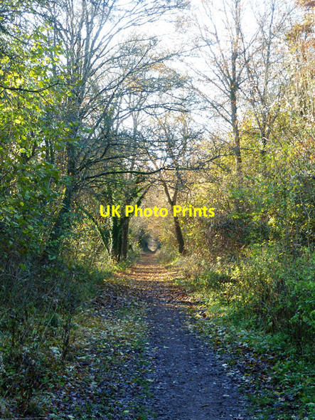 Photo 6"x4" Former Meon Valley Line Warnford c2013