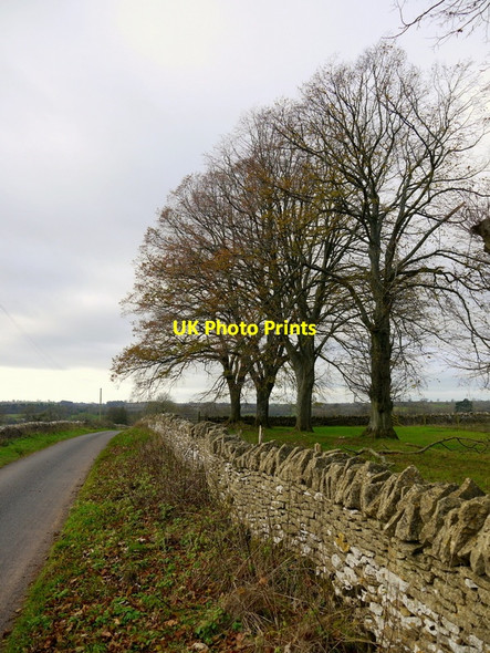 Photo 6"x4" Lane to Syde Caudle Green c2013