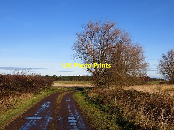 Photo 6"x4" Ware Road Knowes\/NT6177 c2013