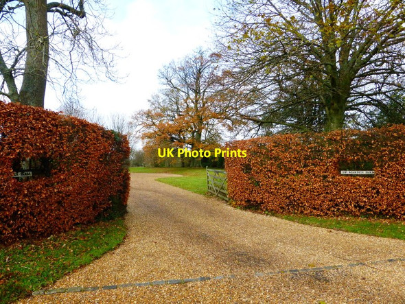 Photo 6"x4" The drive at Up Marden Farm Up Marden c2013