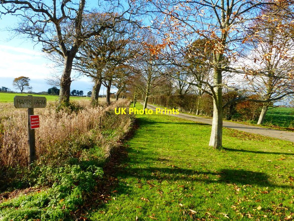 Photo 6"x4" The drive to Harts Farm Bosham Hoe c2013