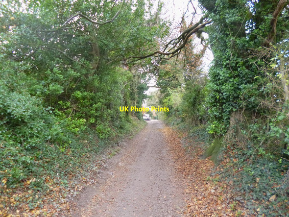 Photo 6"x4" The Common, Red Lane Commo c2013