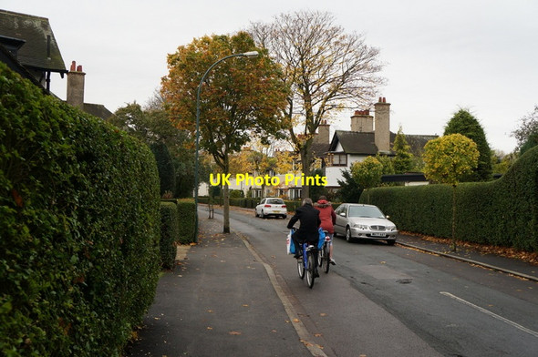 Photo 6"x4" Maple Grove, Garden Village, Hull Kingston upon Hull c2013