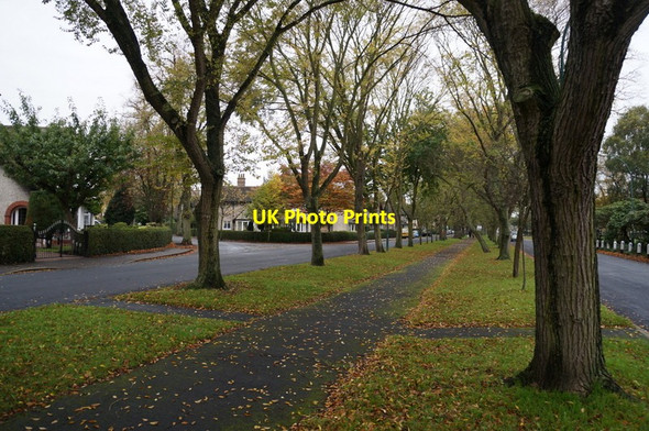 Photo 6"x4" Elm Avenue, Garden Village, Hull Kingston upon Hull c2013 P1