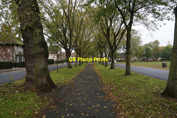 Photo 6"x4" Elm Avenue, Garden Village, Hull Kingston upon Hull c2013 P1