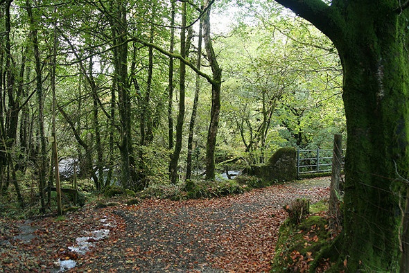 Photo 6"x4" Peter Tavy: by Horndon Bridge Cudlipptown c2008