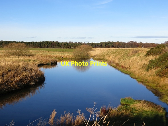 Photo 6"x4" Pond behind Buist's Embankment Knowes\/NT6177 c2013