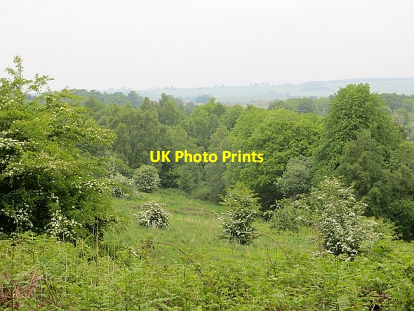 Photo 6"x4" Muiravonside Country Park Loan\/NS9575 c2013