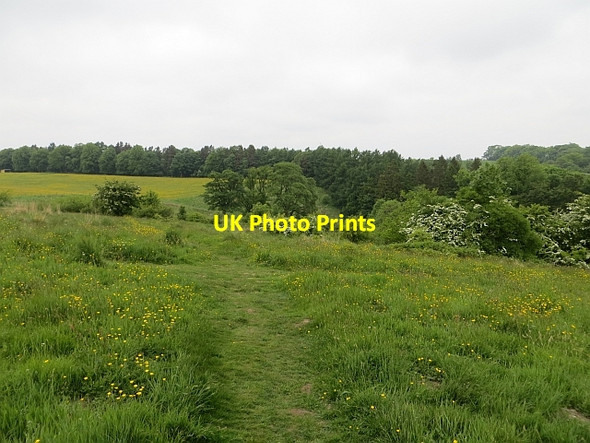 Photo 6"x4" Muiravonside Country Park Loan\/NS9575 c2013