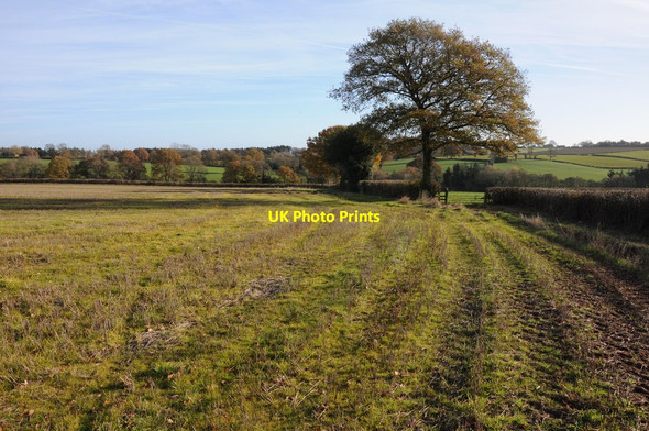 Photo 6"x4" Farmland near Thornbury Thornbury\/SO6259 c2013