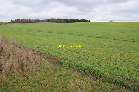 Photo 6"x4" Arable land near Calcot Calcot\/SP0810 c2013