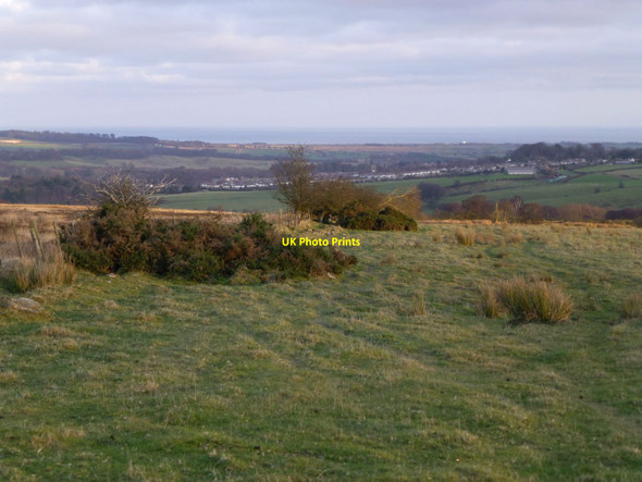 Photo 6"x4" Fence between moorland and pasture Rugley c2013