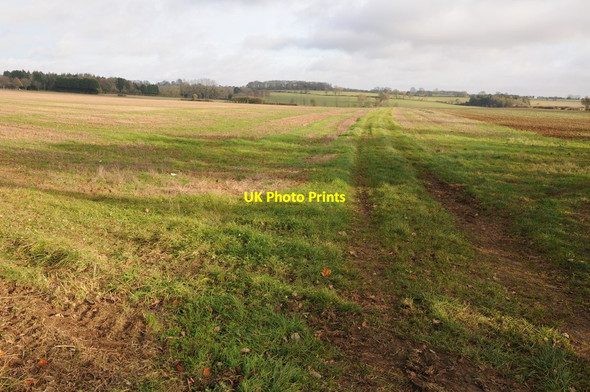 Photo 6"x4" The Macmillan Way and Monarch's Way Chedworth Laines c2013