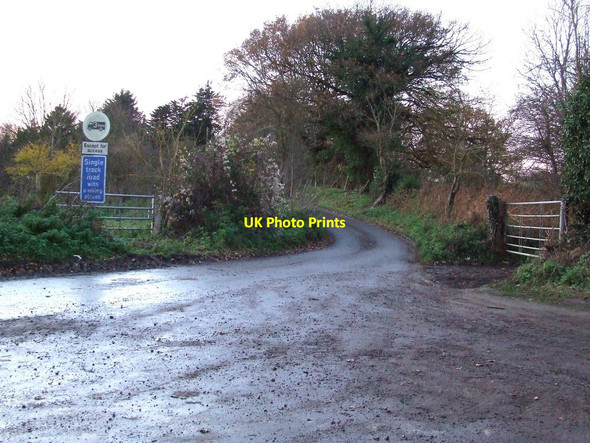 Photo 6"x4" Sandy Lane Larks' Hill c2013