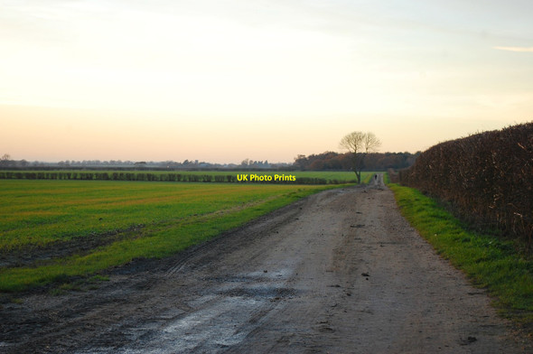 Photo 6"x4" Track towards Hall Farm Tolleshunt D'Arcy c2013