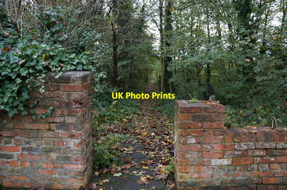 Photo 6"x4" Disused cemetery on Sculcoates Lane, Hull Kingston upon Hull c2013