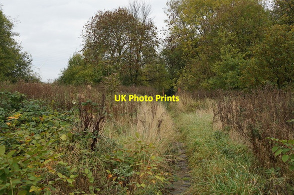 Photo 6"x4" Disused cemetery on Sculcoates Lane, Hull Kingston upon Hull c2013 P6