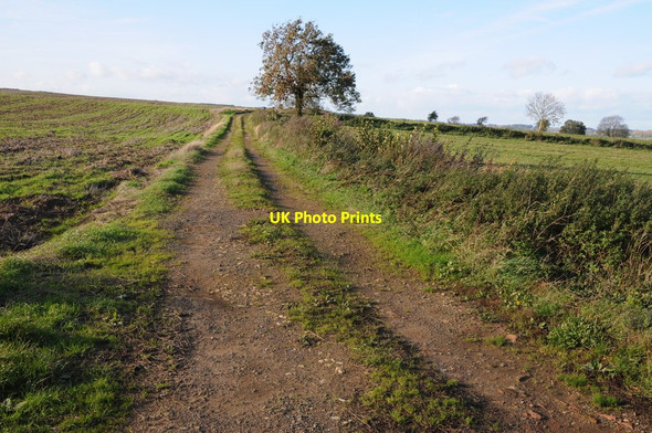 Photo 6"x4" Farm track Aston Magna c2013