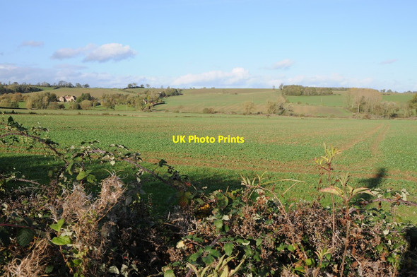 Photo 6"x4" View over the hedge Aston Magna c2013