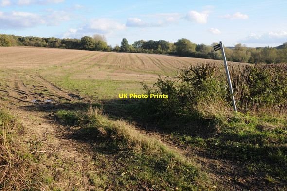 Photo 6"x4" Footpath near Paxford Paxford c2013