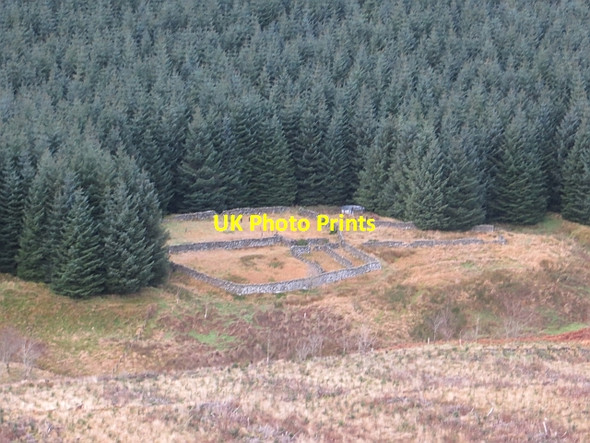 Photo 6"x4" Sheep pens, Bowerhope Bowerhope c2013