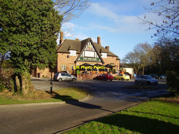 Photo 6"x4" The Unicorn, Eastern Green Hockley\/SP2779 c2013
