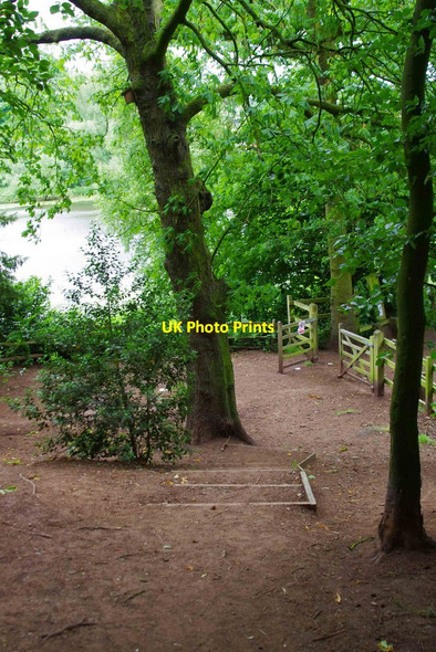 Photo 6"x4" Steps down to footpath, Hurcott Wood, near Kidderminster Hurcott\/SO8577 c2013