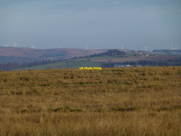 Photo 6"x4" Looking across Mile Moor Eslington Park c2013