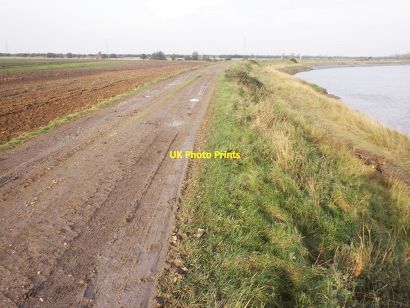 Photo 6"x4" Bankside track, River Parrett Combwich c2013