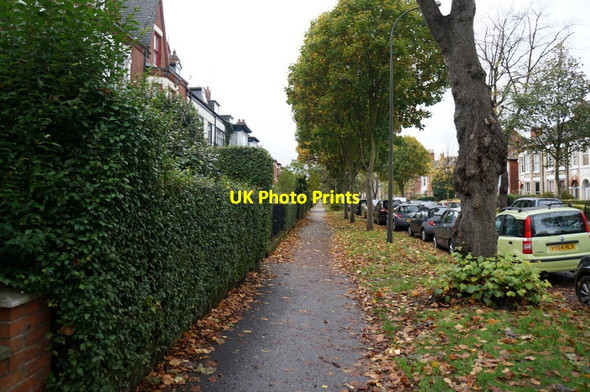 Photo 6"x4" Park Avenue, Hull Kingston upon Hull c2013 P1