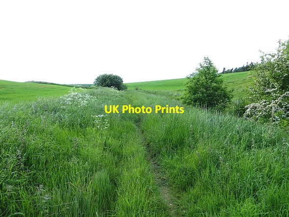 Photo 6"x4" Bolton to Gifford path Bolton\/NT5070 c2013