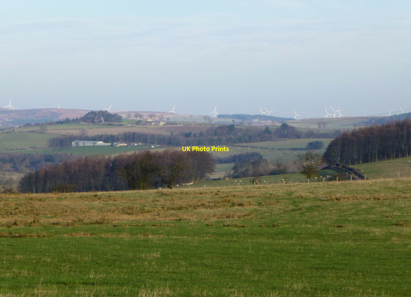 Photo 6"x4" Mile Moor Eslington Park c2013