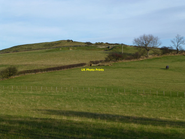 Photo 6"x4" Pasture slopes on Glanton Pyke Glanton c2013