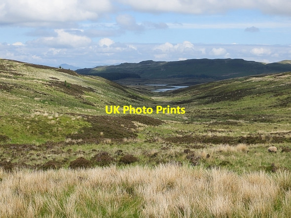 Photo 6"x4" Glenshilloch Burn Wemyss Bay\/NS1969 c2013