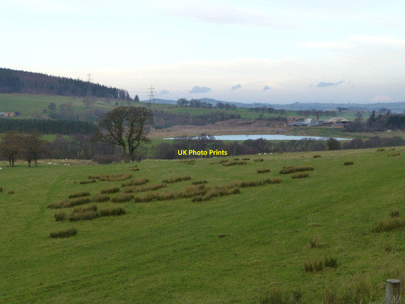 Photo 6"x4" Rough pasture beside the Coe Burn Edlingham c2013