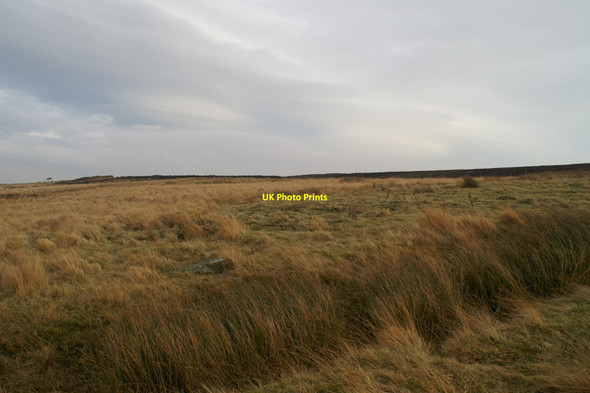Photo 6"x4" Rough pasture above Grange Head Farm Key Green\/NZ8004 c2013