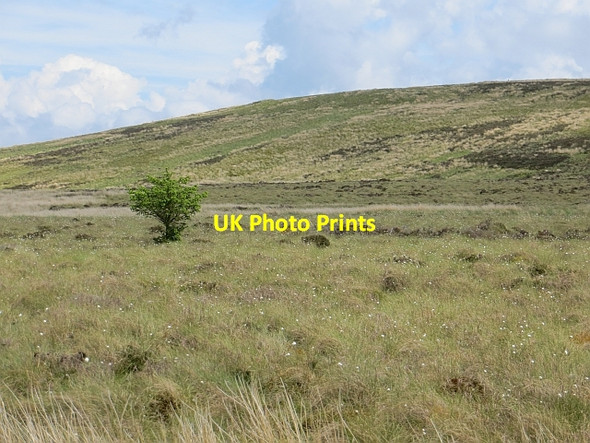 Photo 6"x4" Bog near Cornalees Spango\/NS2374 c2013