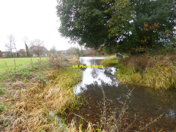 Photo 6"x4" Britford, moat Salisbury c2013