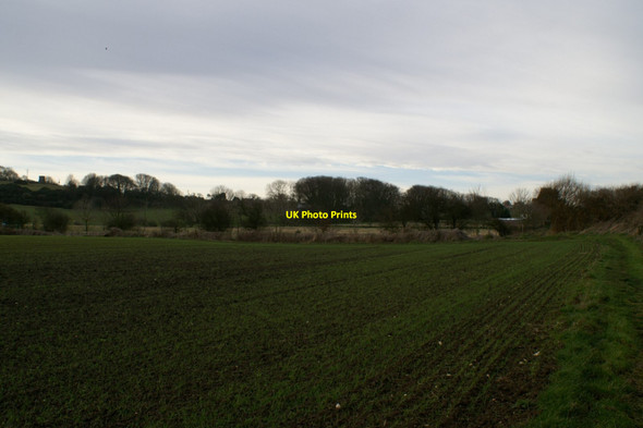 Photo 6"x4" Field Path on Reighton Ings Reighton c2013