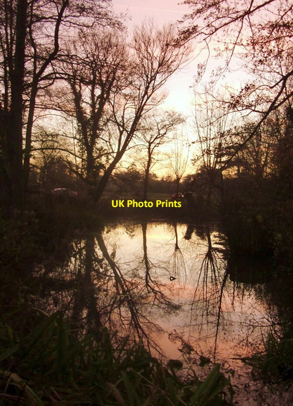 Photo 6"x4" A pool along the Fleet Ditch, Cookham Moor Cookham c2013