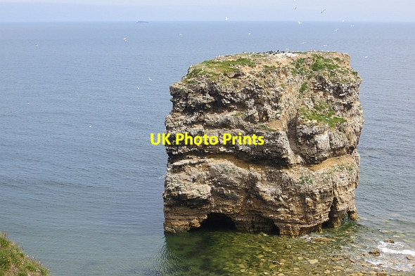 Photo 6"x4" Marsden Rock Marsden\/NZ3964 c2013
