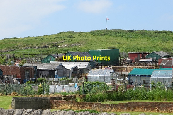Photo 6"x4" Allotments, Whitburn Whitburn\/NZ4062 c2013