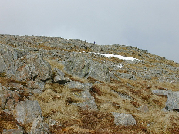 Photo 6"x4" The summit of Stob a' Choire Odhair Stob a' Choire Odhair\/NN2546 c2001