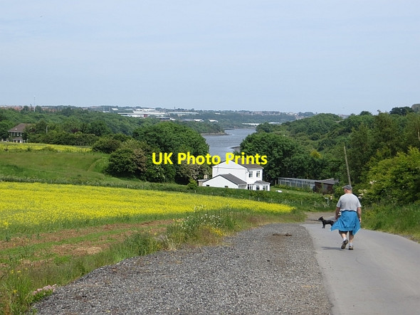 Photo 6"x4" View downstream: River Wear North Hylton c2013